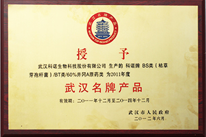 武汉名牌产品